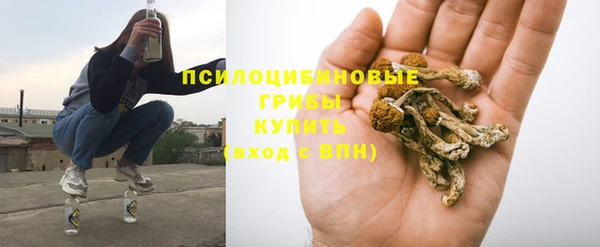 тгк Надым