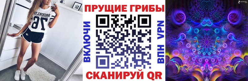 Галлюциногенные грибы Psilocybine cubensis  наркошоп  Ува 